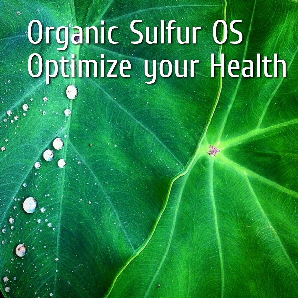 organic Sulfur 