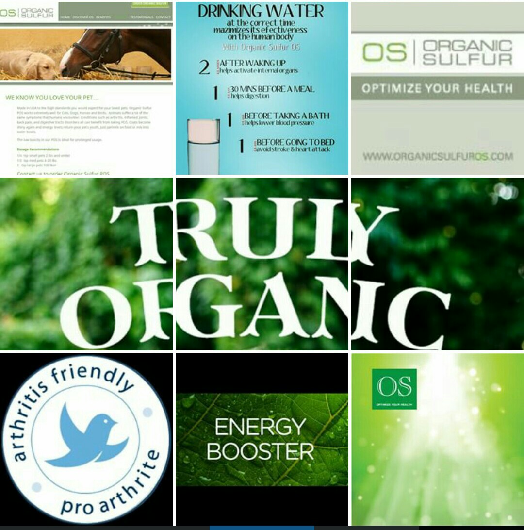 Organic Sulfur instagram